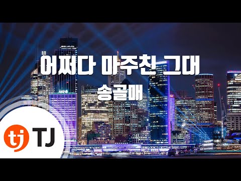 [TJ노래방] 어쩌다마주친그대 - 송골매(Songolmae) / TJ Karaoke