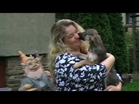 Mandy Moon ...by IL Mondo