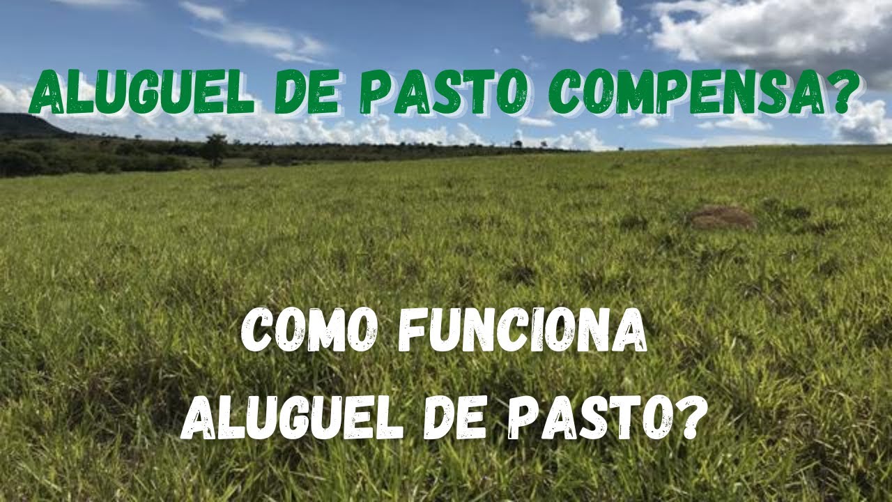Aluguel de pasto - Como funciona