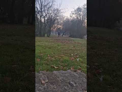 Hermoso comienza, a correr un poco por el Prado de Montevideo