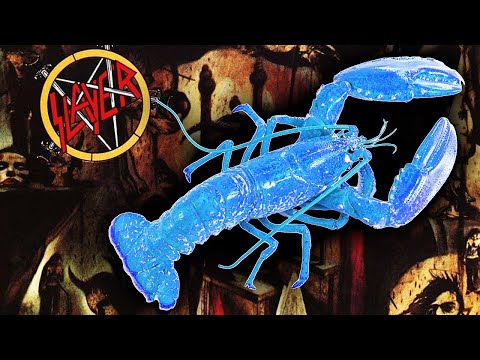 If SLAYER wrote 'ROCK LOBSTER'