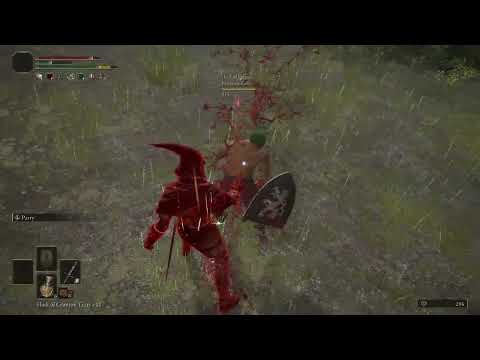 moremisericordeparries.mp4