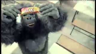 Download lagu Iklan Beng Beng Max Gorilla mp3