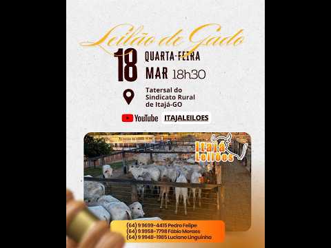 LEILAO DE GADO DA ITAJÁ LEILÔES