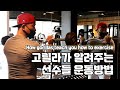 [고릴라쇼쇼쇼TV] How gorillas teach you how to exercise _ 미스터 코리아 운동방법