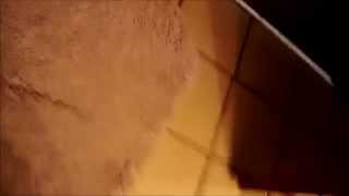 How 2 take an emergency shit