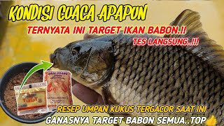 Download lagu UMPAN IKAN MAS ANDALAN TERJITU ‼️RACIKAN UMPAN MANCING IKAN MAS BABON HARIAN SUSAH MAKAN mp3