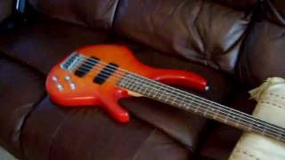 Video thumbnail for Peavey International Series 5 string bass by Conor Somers