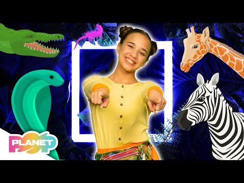 Let's Go To The Zoo Song 🦒🐊 | ESL Songs | English For Kids | Planet Pop | Learn English