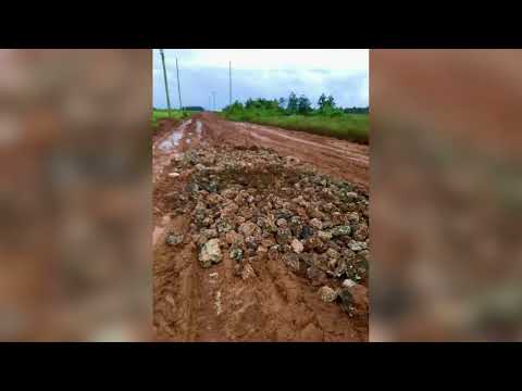 Corozal Residents Fix Roads After Years of Neglect