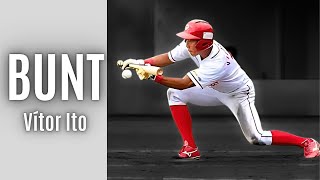 BUNT - Vítor Ito