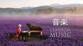 Download lagu ストレス解消のためのクラシック名曲20選 心の平安をもたらすメロディー|シューベルト、パッヘルベル、モーツァルト、ショパン【リラックスできるBGM】|癒しとリラックス mp3 Download lagu ストレス解消のためのクラシック名曲20選 心の平安をもたらすメロディー|シューベルト、パッヘルベル、モーツァルト、ショパン【リラックスできるBGM】|癒しとリラックス mp3