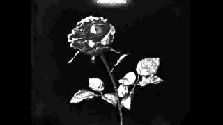 Islands - Don&#39;t I Love You