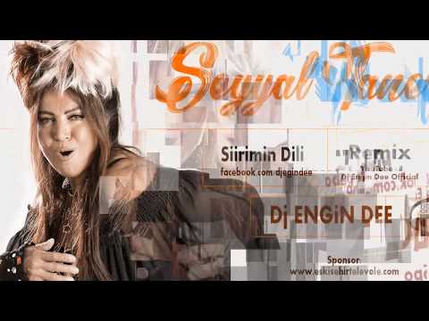 Seyyal Taner feat Dj Engin Dee - Şiirimin Dili / Remix