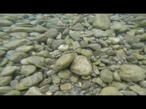 Lechausee Divespot - Andrés Tauchvideos , Lechausee,Reutte,Österreich