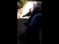 Crow says Fuck you 