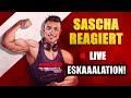 Sascha Huber Reaktion 🔴 LIVE