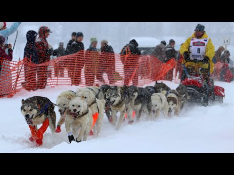 Início oficial de Iditarod 2020 | Willow Alaska