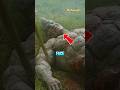 Rhino Should Not Transform Like The Hulk In Kraven The Hunter Rhino Kraven Kraventhehunter
