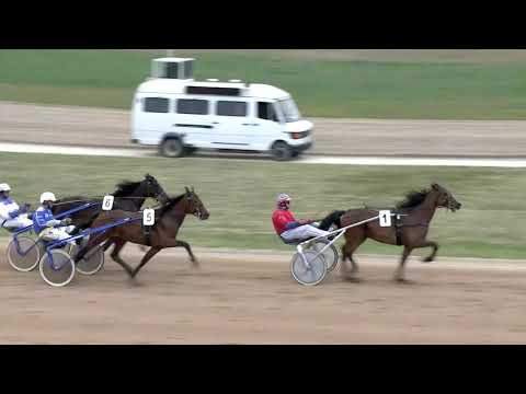 2019.04.13. 07. futam - PLATTER CHATTER DÍJ