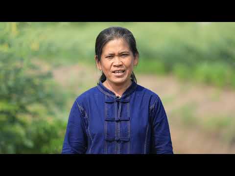 รักษ์ผืนดิน ถิ่น ส.ป.ก. ปี ๓ : (๖) ปรับวิธีคิด เปลี่ยนวิธีทำ สู่การทำเกษตรทฤษฎีใหม่