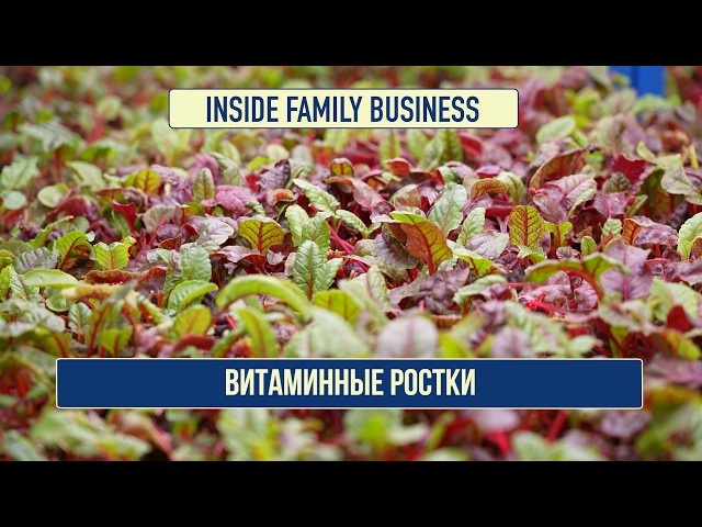 Витаминные ростки