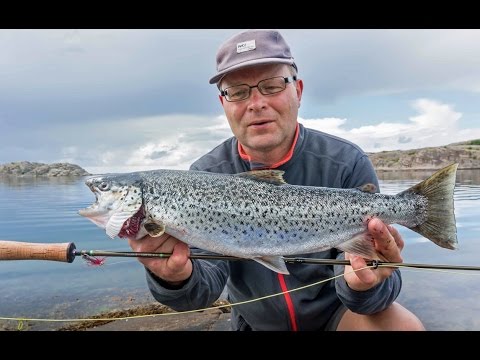 “Vejløst land” Havørred i skærgården – kajakdagbog