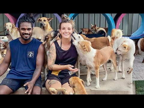 From Animal Rescue Partners to Husband and Wife