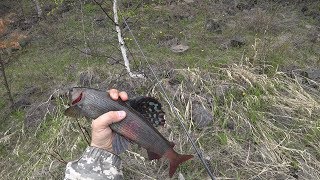 Ссылка