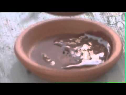 Innovation Challenge Team Bravo