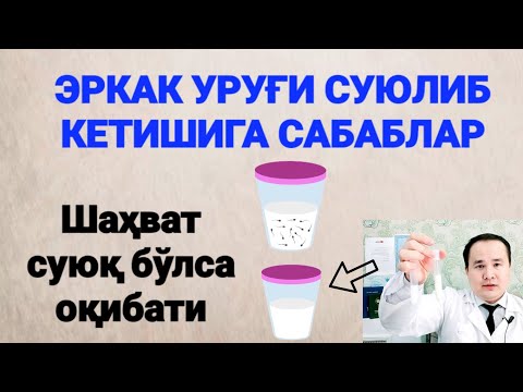 ERKAK SHAXOVAT URUG'I SUYILIB KETISHI SABABLARI VA OQIBATI