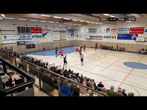 RE-LIVE: HV Rot-Weiss Stassfurt vs. SG Pirna Heidenau 24:25 (16:13)