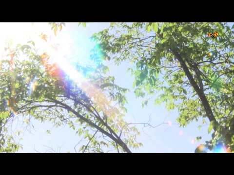 Då kommer högsommarvärmen - inte långt borta