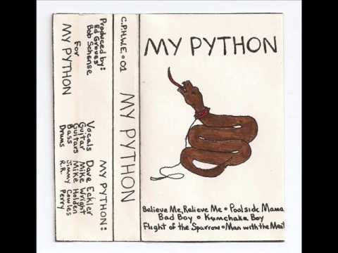 My Python - Poolside Mama