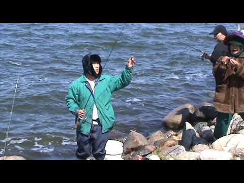 Nuv ntses pem N Dakota