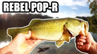 Bass Fishing From Shore With a REBEL POP-R (And a Desperation Rig)