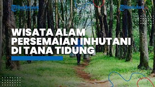 Wisata Alam Persemaian Inhutani di Kabupaten Tana Tidung Wajib Dikunjungi saat Liburan ke Kaltara