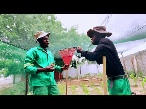 FAMILY - Sito-Jah X Dbn_04 (VISUALIZER)