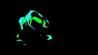 The Down Syndrome (Grey Daze cover) By Black Dog Sheriff