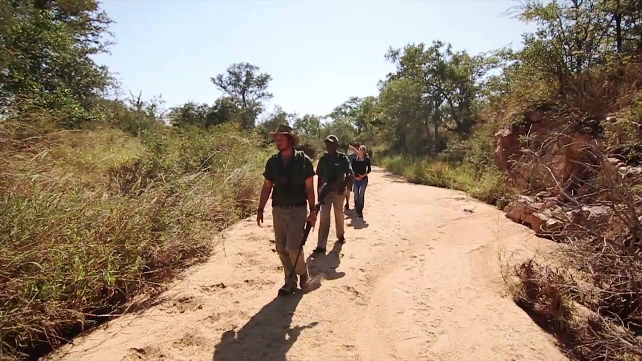 Overview of Shindzela