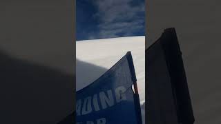 Lou reed&#39;s &#39;Dreamin&#39;