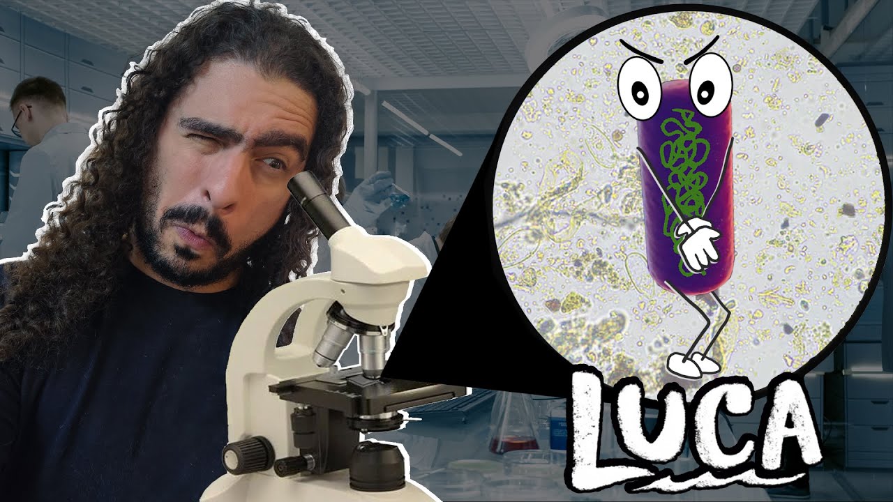 Desvendando o LUCA, o ancestral em comum mais recente (#Pirula 388.2)