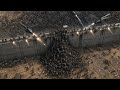 Millions Of Zombies Beyond The Wall World War Z 2013 Movie Explanation