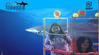 DIA 3 Expo Tiburon87