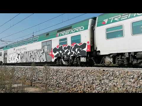 Treno regio express 2169 incrocia treno regionale 10860 a Tavazzano (LO)