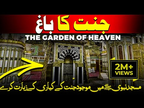 riaz ul jannah history | riyadh ul jannah madina sharif | riaz ul jannah masjid nabawi secrets