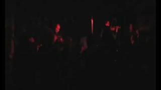 Ne Obliviscaris  As Icicles Fall