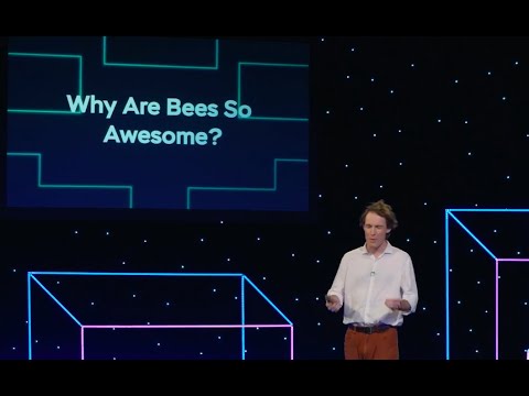 Why Are Bees So Awesome? | Comedians Giving Lectures | Guy Montgomery