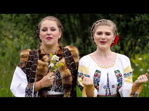 Flori din Bucovina - NOU 2017