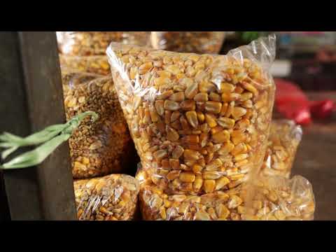 Ceger ep. 578 03.04.2021.